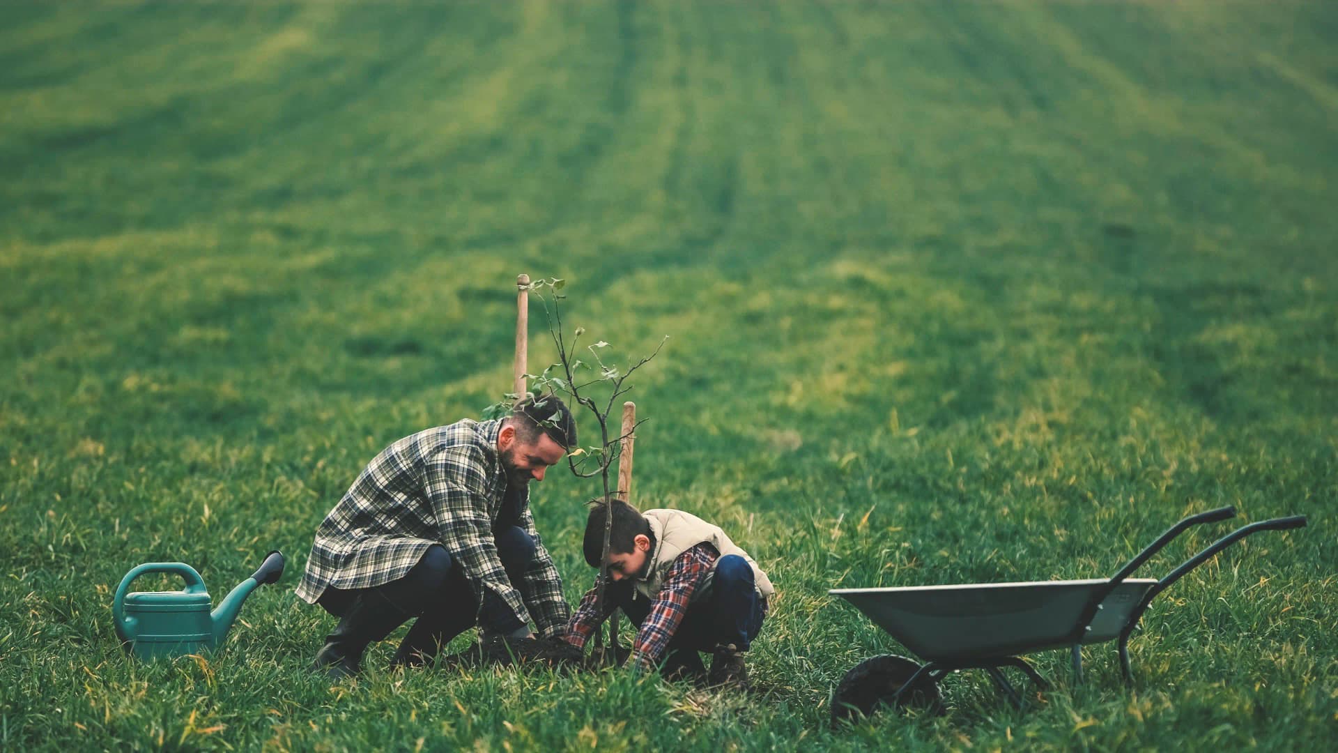 Father and son planting a tree